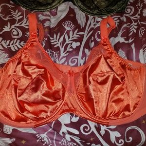 Tangerine Dream Goddess 42I Silk and Mesh Bra